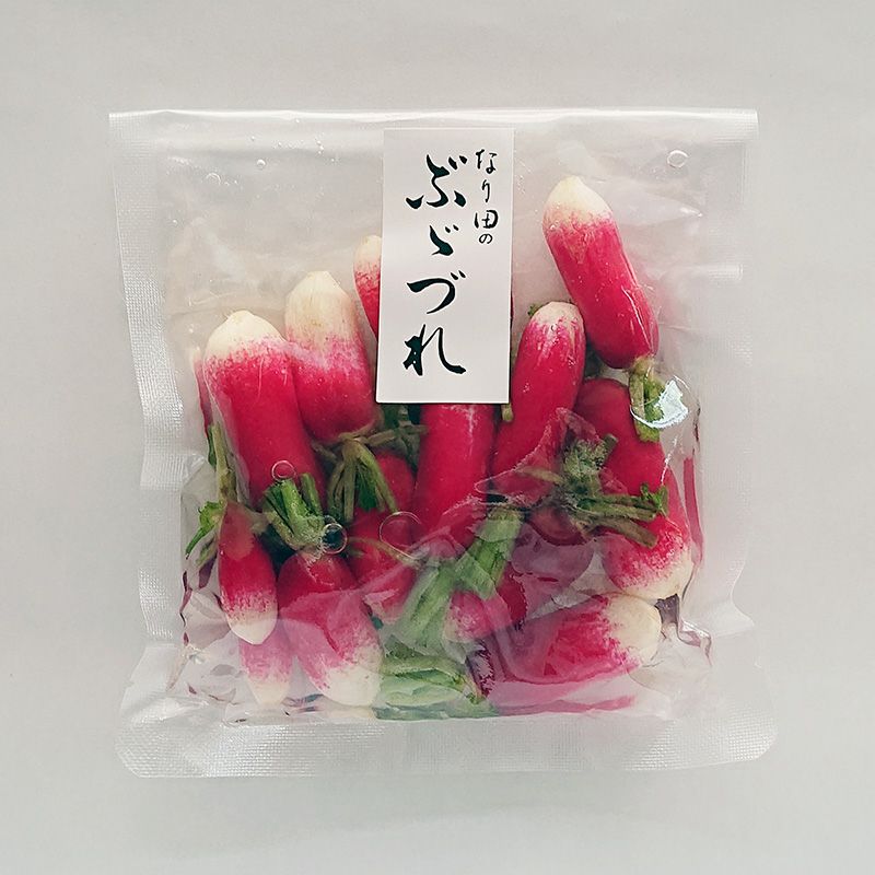 紅大根